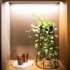 Perfil Aluminio de Luz Led Lineal Moove 1